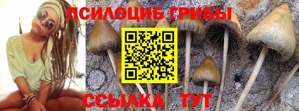 Сертолово  Псилоцибиновые грибы Magic Shrooms  Вход с VPN 